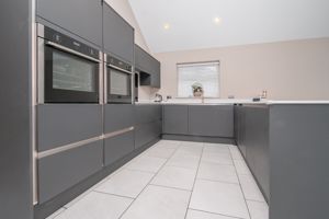 THE CONIFERS- click for photo gallery